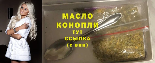 хмурый Почеп