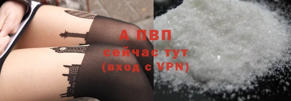тгк Порхов