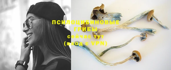 PSILOCYBIN Покровск