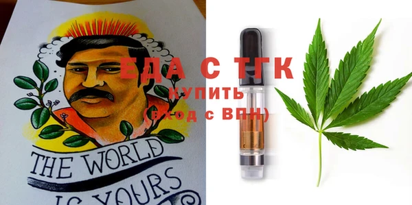 хмурый Почеп