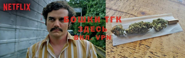 PSILOCYBIN Покровск