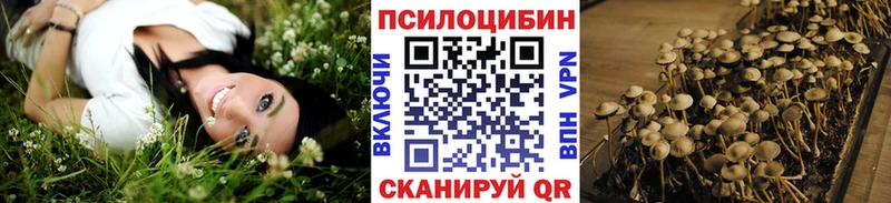 Галлюциногенные грибы MAGIC MUSHROOMS  гидра как войти  Елец 
