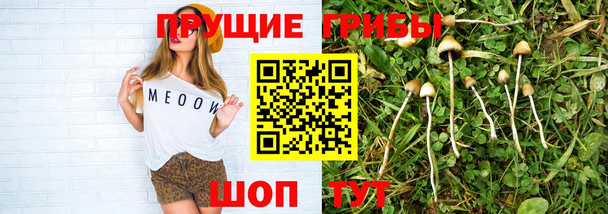 Галлюциногенные грибы мухоморы Елец