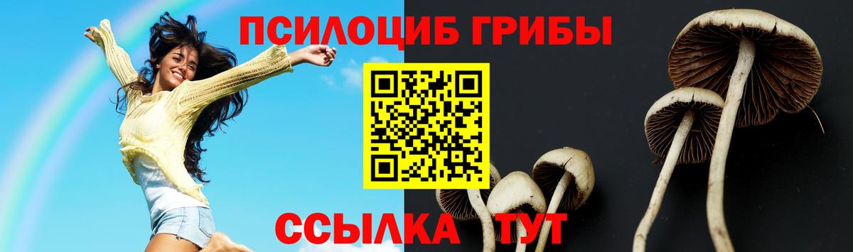 Елец  Псилоцибиновые грибы GOLDEN TEACHER  Вход с VPN  Псилоцибиновые грибы GOLDEN TEACHER 